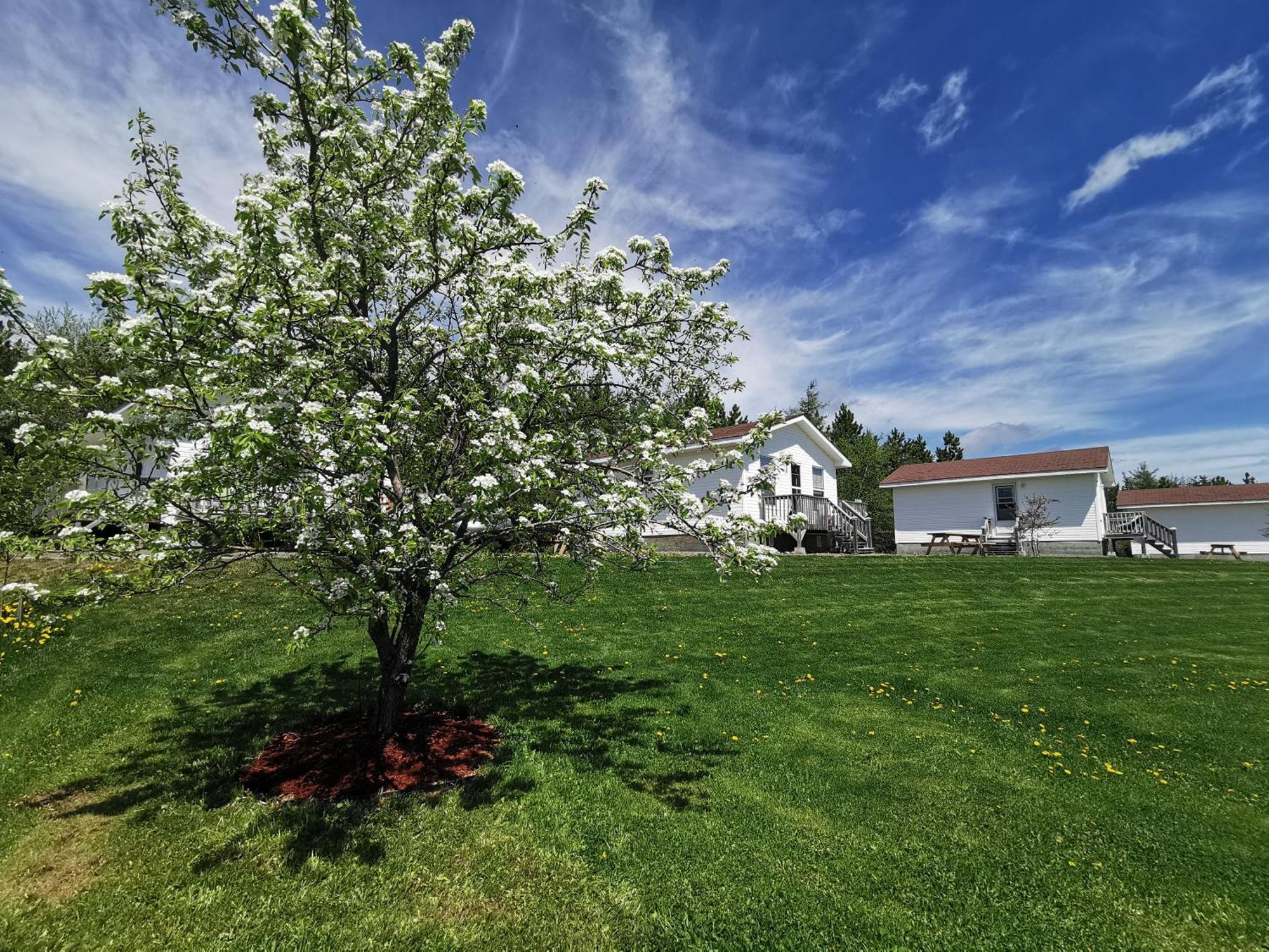 L'Ancrage B&B And Cottages Saint Louis de Kent Екстер'єр фото